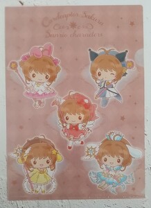 CCS Clearfile